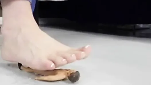 Girl Crushes Mouse Barefoot - Giantess Porn Videos Are All about Giant Women and Tiny Men | xHamster