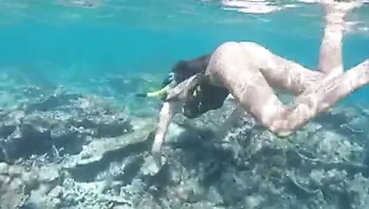 Snorkeling Porn