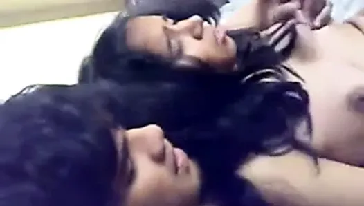 Bf Hindi Sex - Free GF BF Porn Videos | xHamster