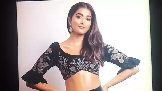 Hot Moaning Cum Tribute To Pooja Hegde Xhamster 0018